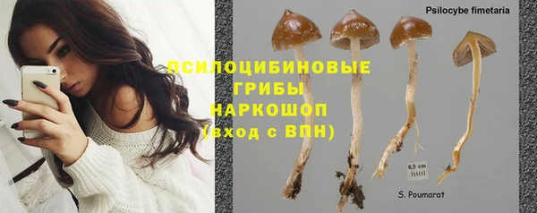 СК Беломорск