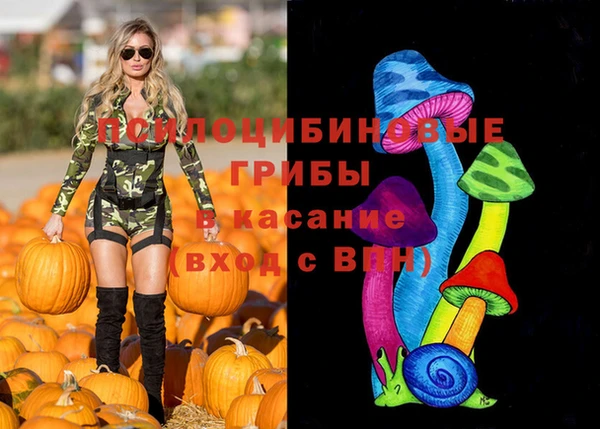 герыч Белокуриха