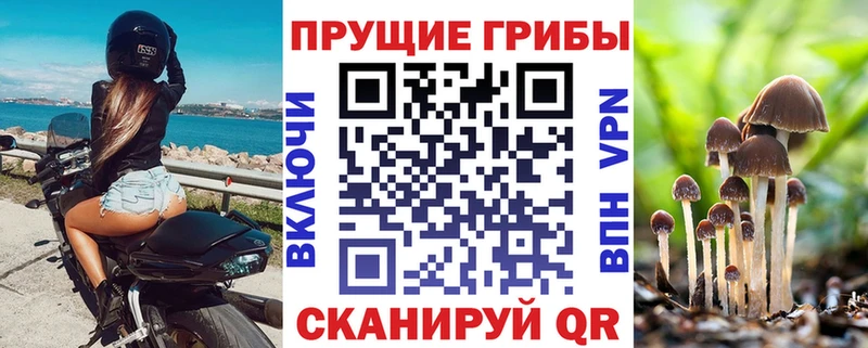 Псилоцибиновые грибы мицелий Нарьян-Мар